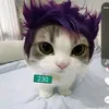samuelpavelca_