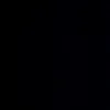 as_333861