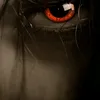 berniexserena