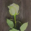 mustafa_mahdi10