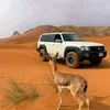faresdima720