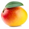 mango_958