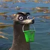 rimandotudocompau