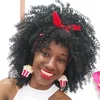 mini.myrian