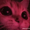 john_mizer09
