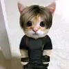 liongato