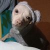 jayda098._