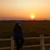 flashback_busya