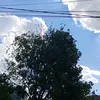 brunosergio27