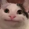 deptraikophkbannk