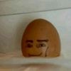 repolloss
