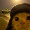 qyumeow