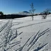 mroskaritoo