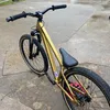 luifile011
