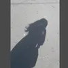 lysitorus_