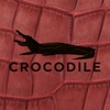 crocodile.am