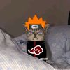 perimexlaxx2