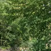 natureadventure33