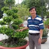 vn.sang229