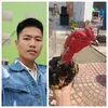 xuannguyenvan407