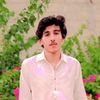 itx_shabii13