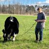 davidschultz233