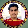 mohibur531