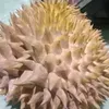 eric_ajaahh77