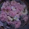 uyn_246