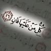 mohamedgomaa8189