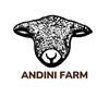 ANDINI FARM