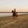 horsecamp.odessa