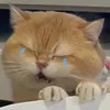 lathui7