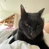 blablabicth