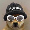 dazsnipez