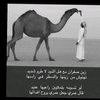 aafhjz12344