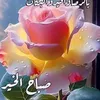 user28ddgblq3j