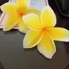 henisyailendra