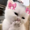 yyaalyaa__29