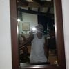 s_qz26