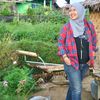 dwayu.stw