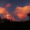 demon_escarlata181