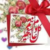 shadamohamed629