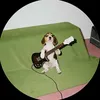 hoangdipchaihetcuu
