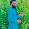 abubakarkhan9929