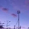 ellanica56