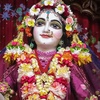 radhe.radhe2408