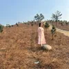 ngolienn40