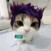 riujiiiii