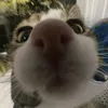 tryingtomakecontent22